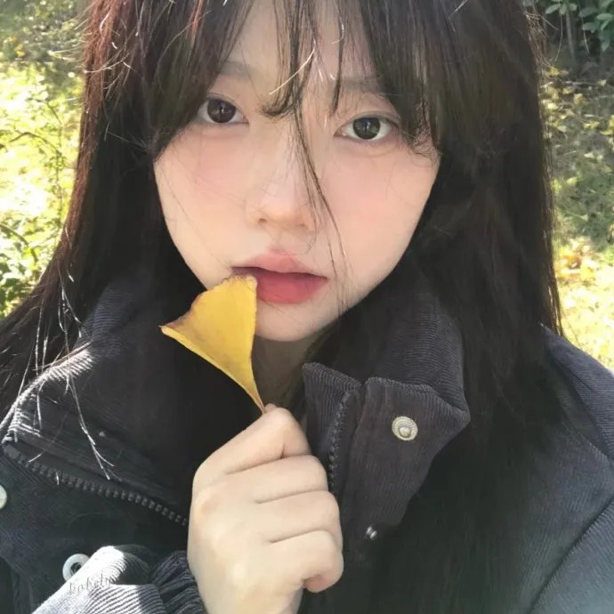 有猫的迷宫
